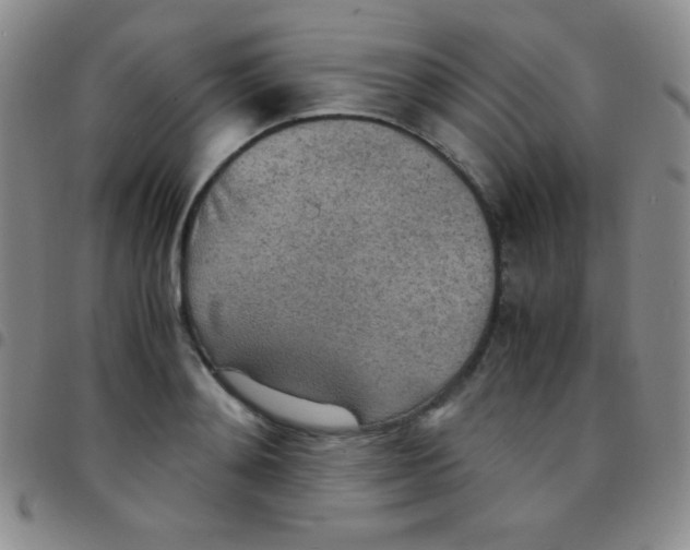 X0000097480892200803141932