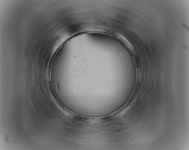 X0000097480893200803141932