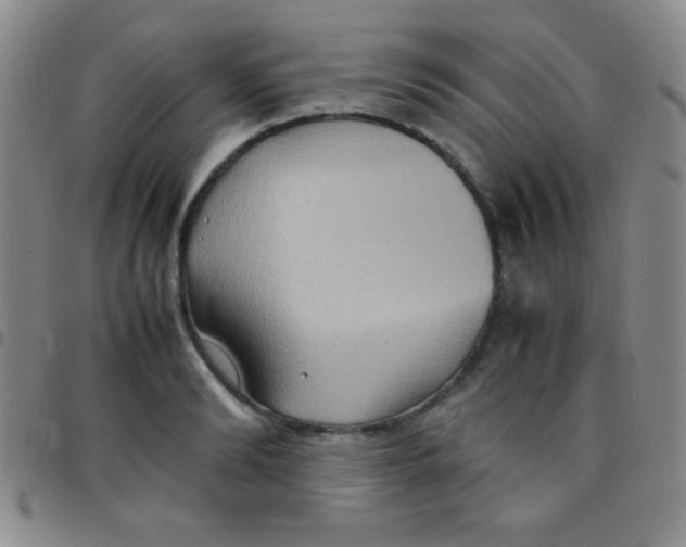 X0000097480894200803141932