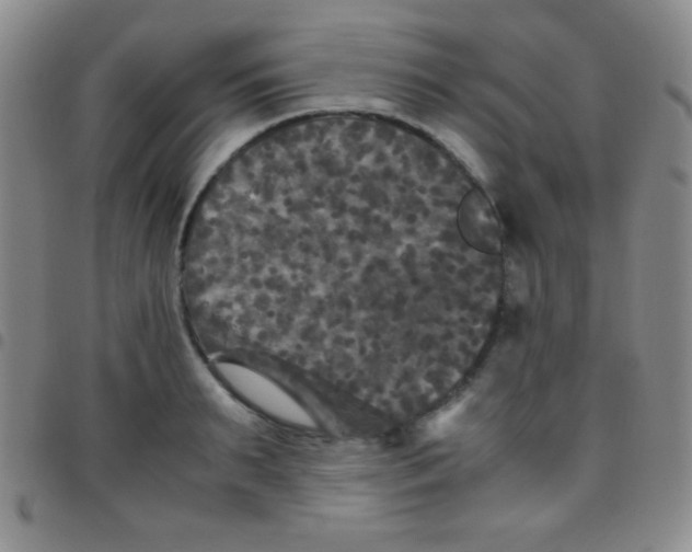 X0000097480895200803141932