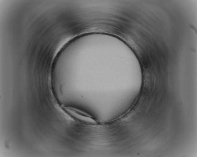 X0000097480896200803141932