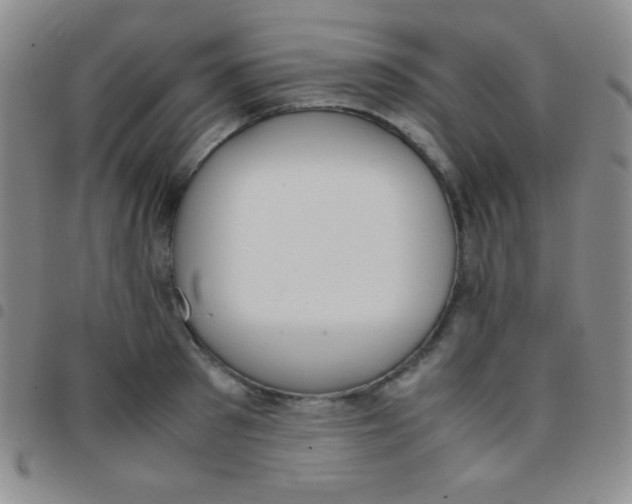 X0000097480897200803141932