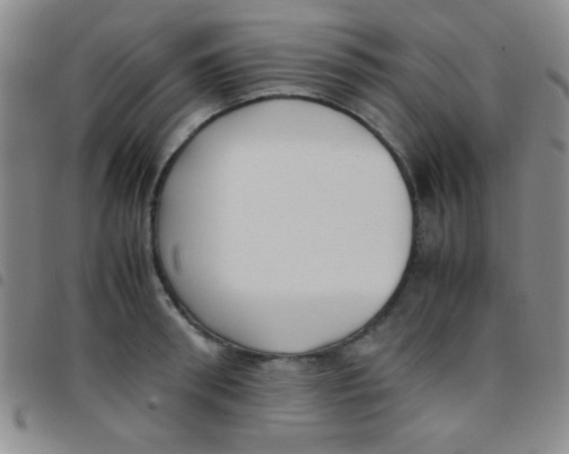 X0000097480898200803141932