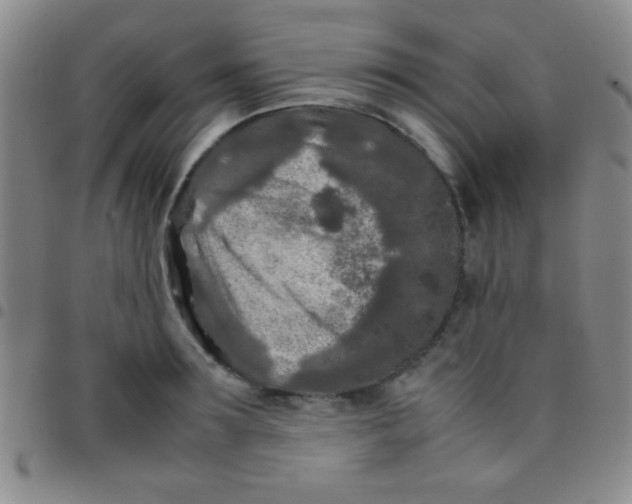 X0000097480899200803141932