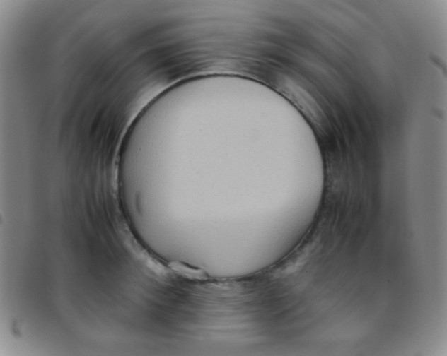 X0000097480900200803141932