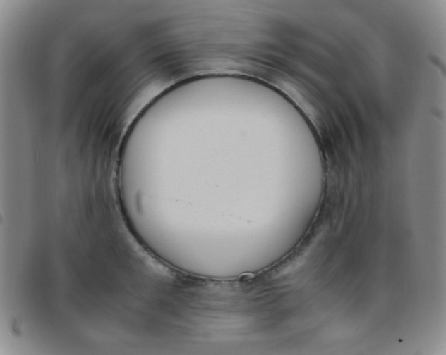 X0000097480901200803141932