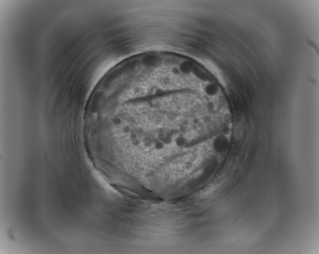 X0000097480903200803141932