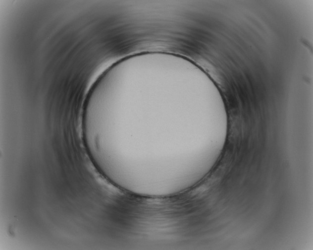 X0000097480904200803141932