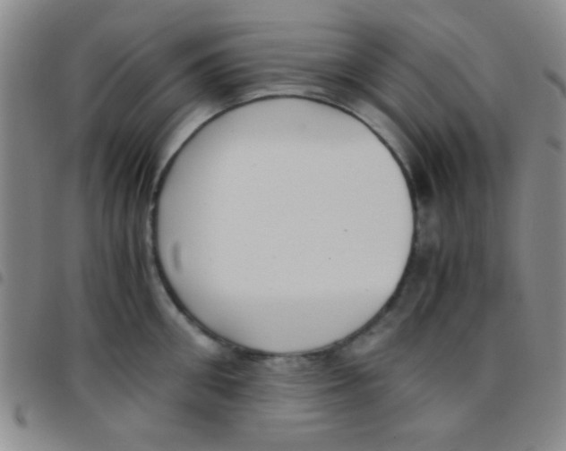 X0000097480906200803141932