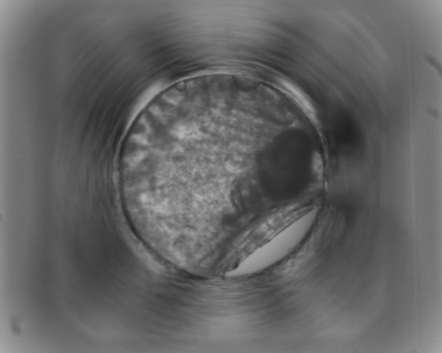 X0000097480907200803141932