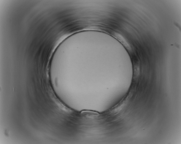 X0000097480908200803141932