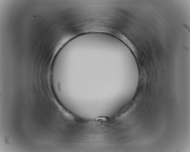 X0000097480909200803141932