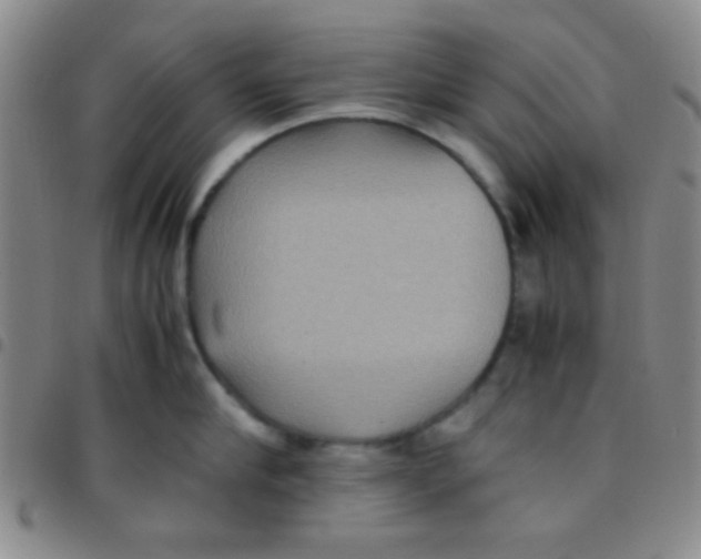 X0000097480910200803141932