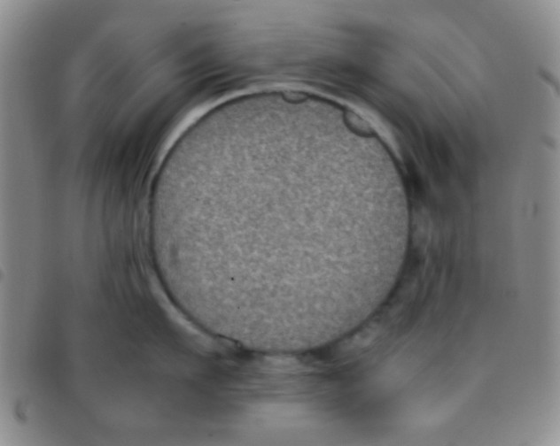 X0000097480911200803141932