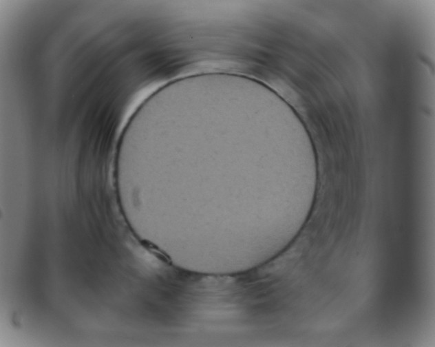 X0000097480912200803141932