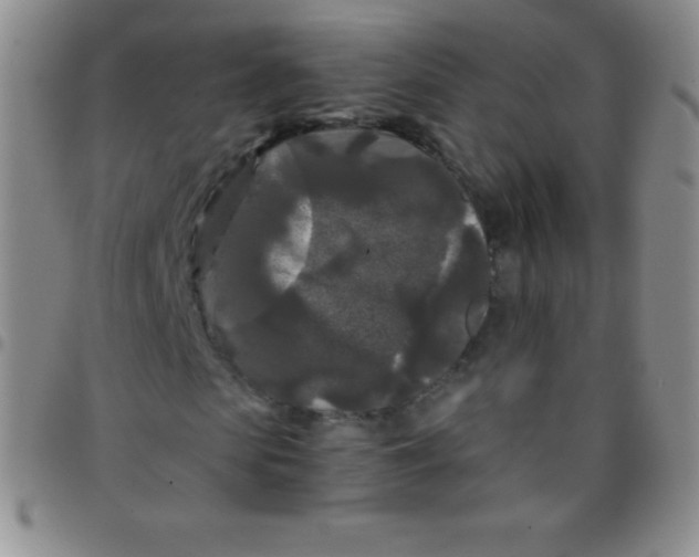 X0000097480913200803141931