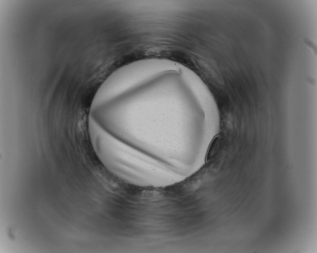 X0000097480914200803141931