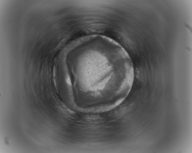 X0000097480915200803141931