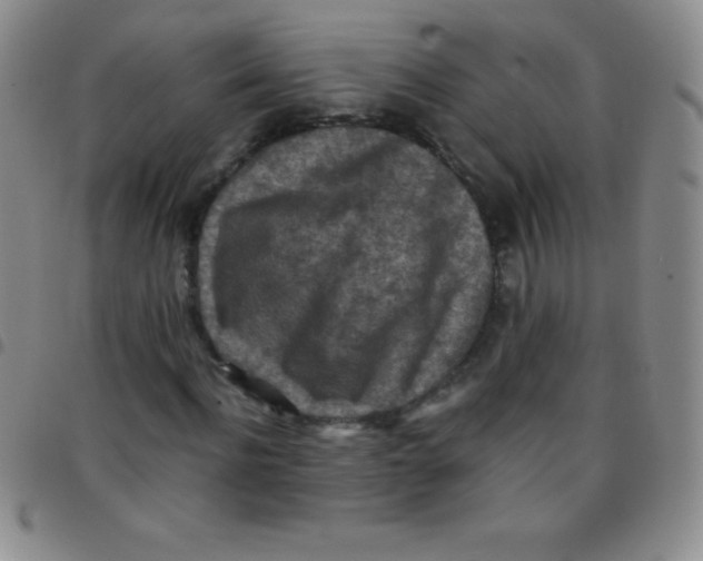 X0000097480916200803141931