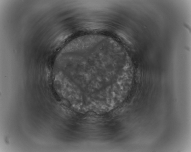 X0000097480917200803141931