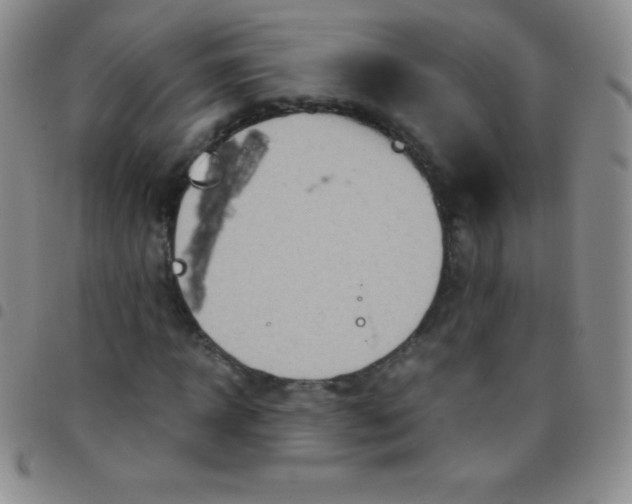 X0000097480918200803141931