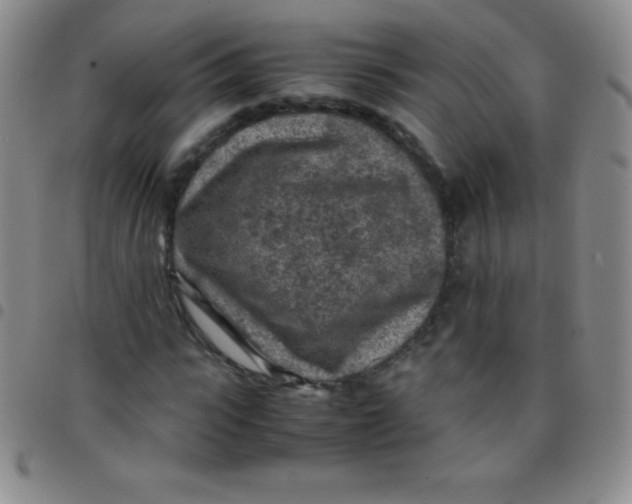 X0000097480919200803141931