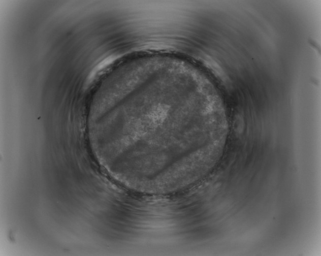 X0000097480920200803141931