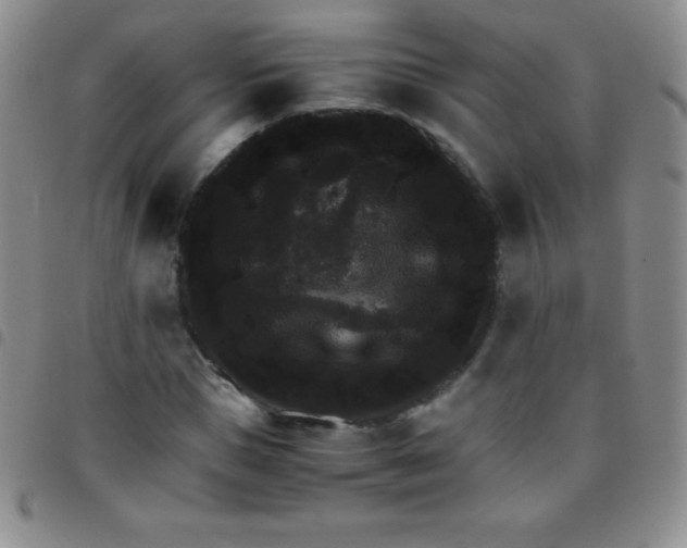 X0000097480921200803141931