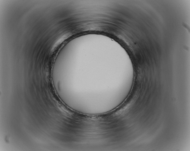 X0000097480922200803141931