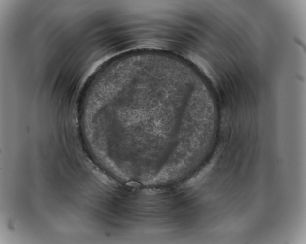 X0000097480923200803141931