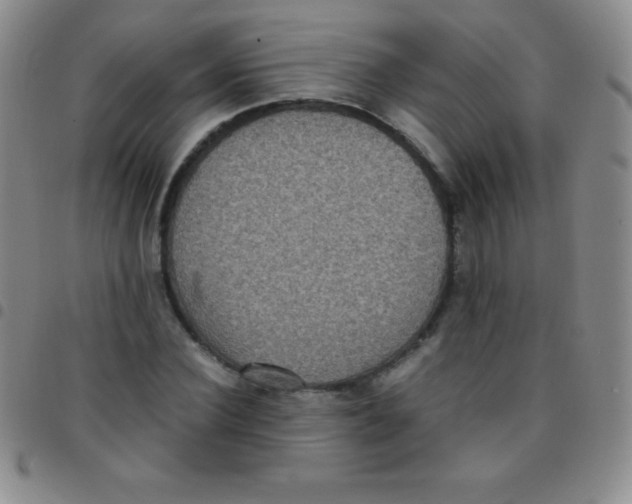 X0000097480924200803141931