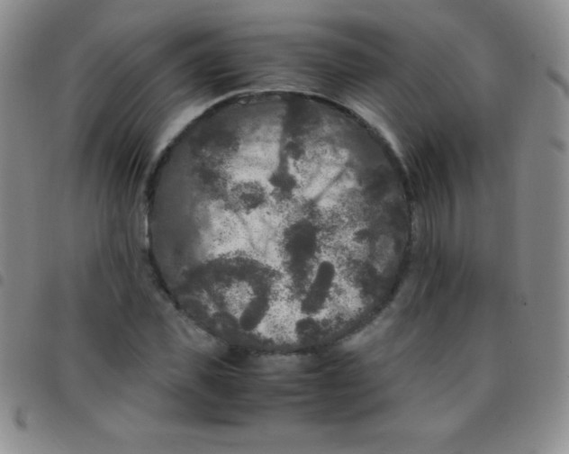 X0000097480925200803141931