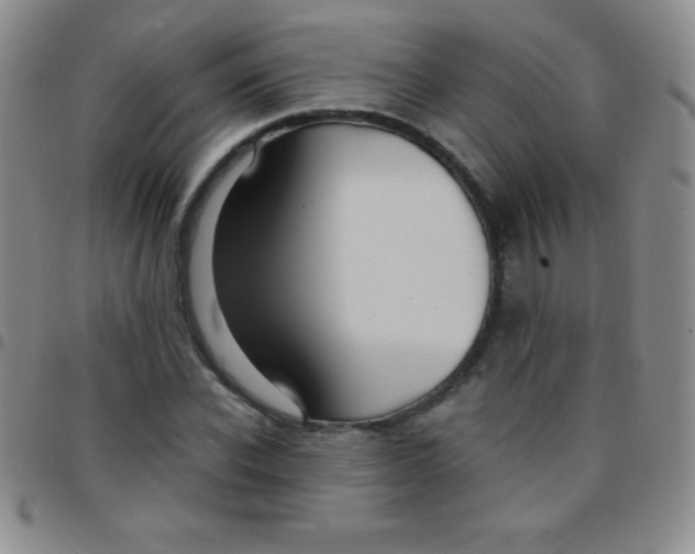 X0000097480926200803141931