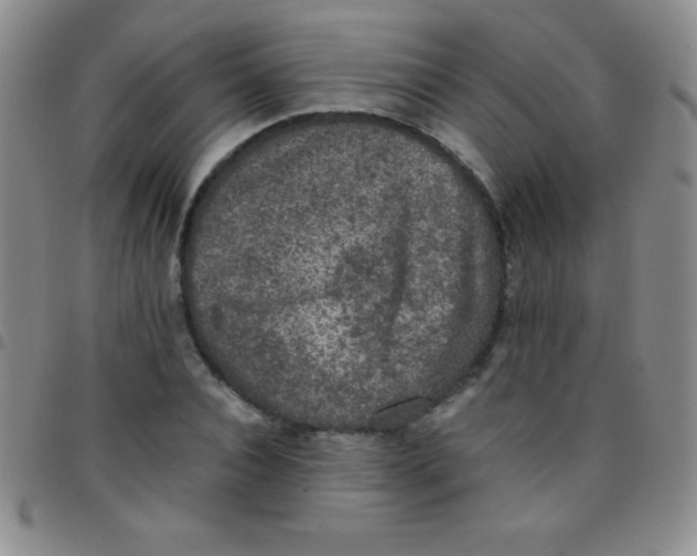 X0000097480928200803141931