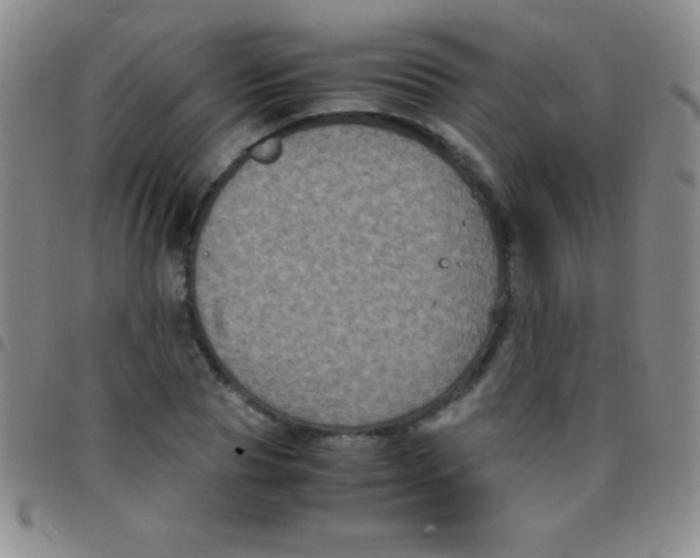 X0000097480929200803141932