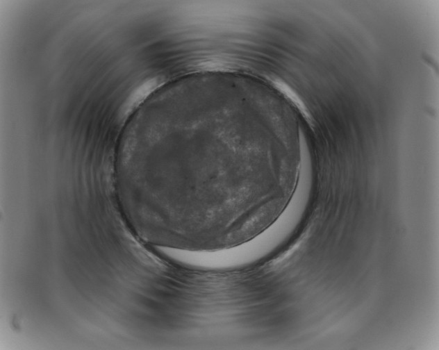 X0000097480930200803141932