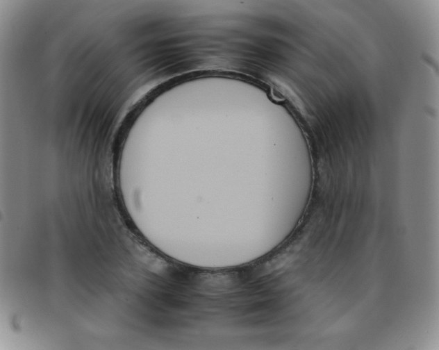 X0000097480931200803141932