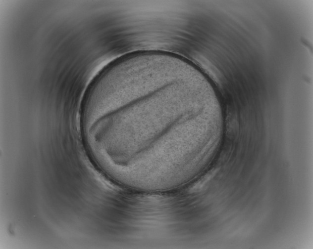 X0000097480932200803141932