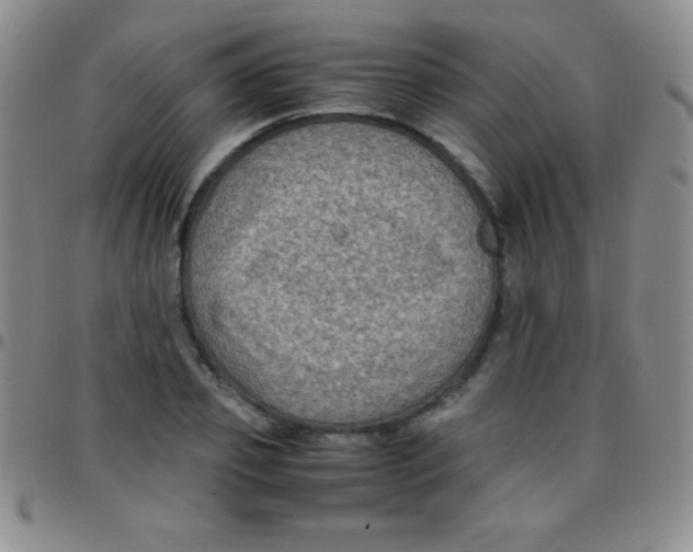 X0000097480933200803141932