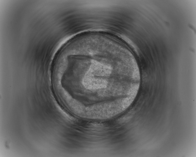 X0000097480935200803141932