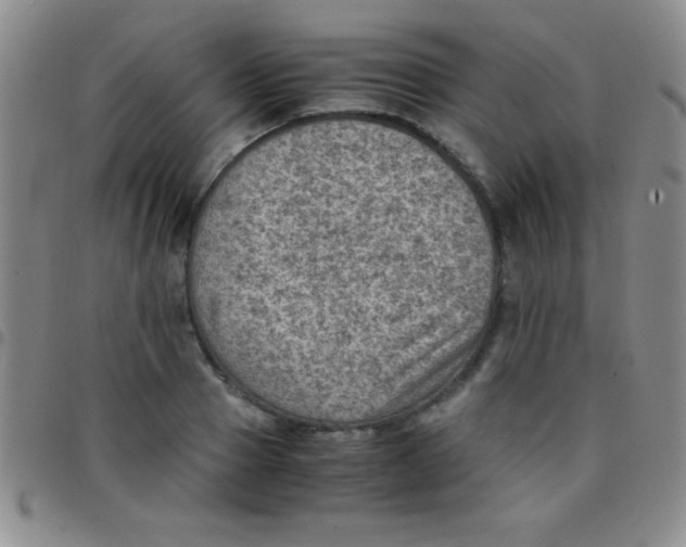 X0000097480937200803141932