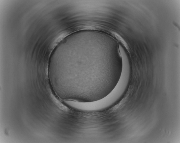 X0000097480938200803141932