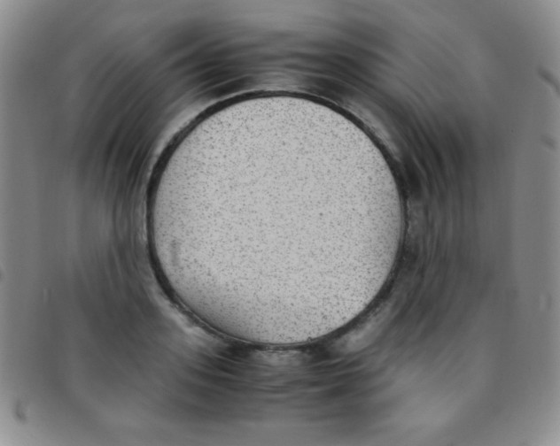 X0000097480939200803141932