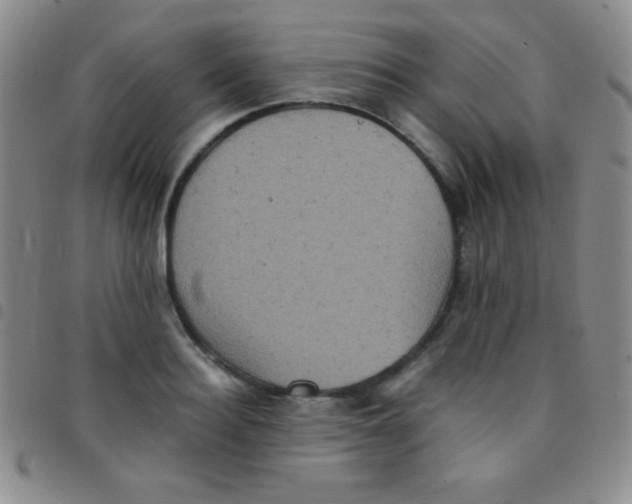 X0000097480940200803141932