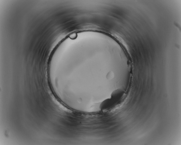 X0000097480941200803141932