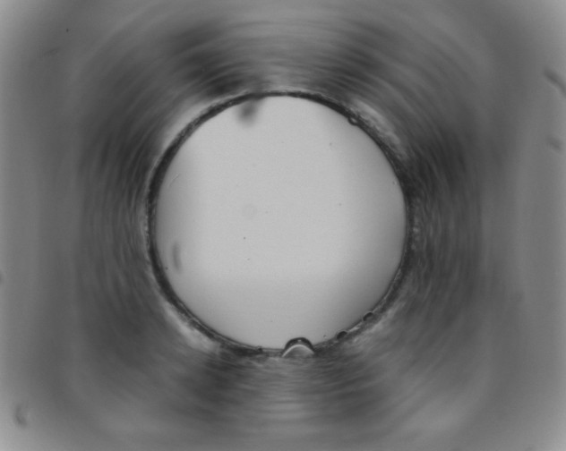 X0000097480942200803141932