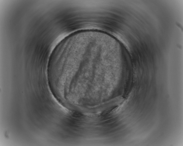 X0000097480943200803141932