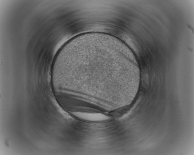 X0000097480944200803141932