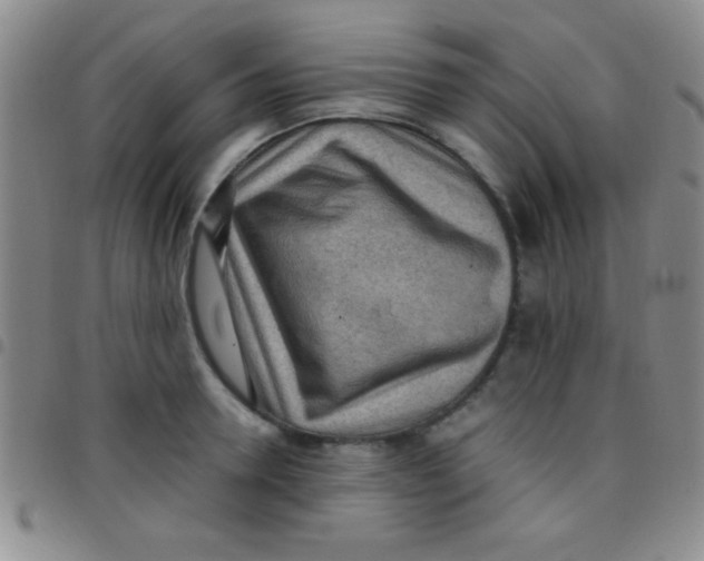 X0000097480946200803141932