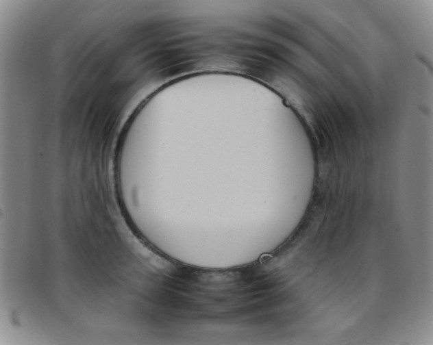 X0000097480947200803141932